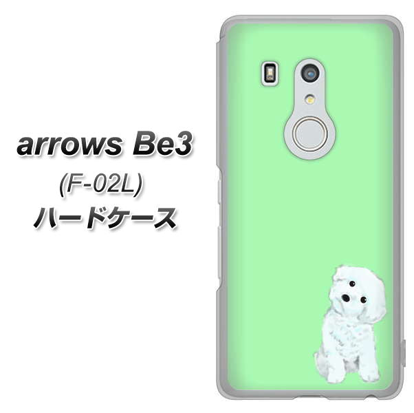 docomo アローズ ビー3 F-02L 高画質仕上げ 背面印刷 ハードケース【YJ071 トイプードルホワイト(グリーン)】