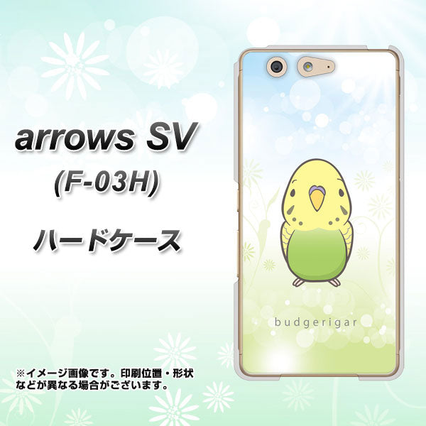 docomo アローズSV F-03H 高画質仕上げ 背面印刷 ハードケース【SC838 セキセイインコ グリーン】