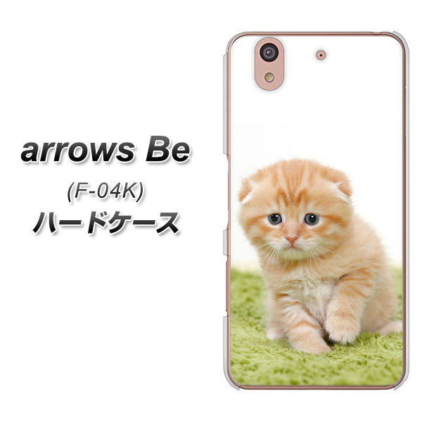 docomo アローズ ビー F-04K 高画質仕上げ 背面印刷 ハードケース【VA802 ネコこっそり】