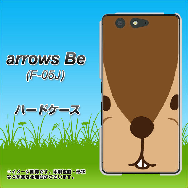 docomo アローズ ビー F-05J 高画質仕上げ 背面印刷 ハードケース【349 りす】
