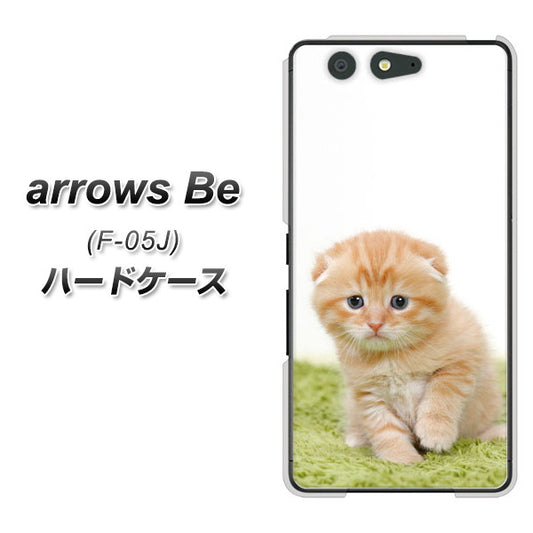 docomo アローズ ビー F-05J 高画質仕上げ 背面印刷 ハードケース【VA802 ネコこっそり】