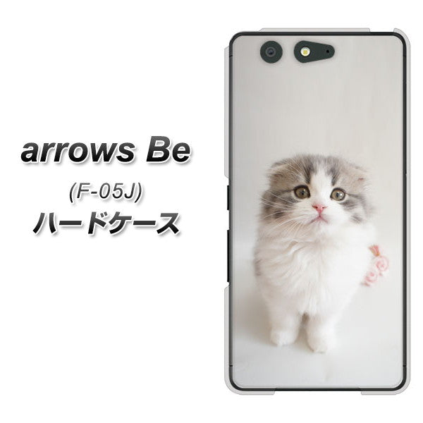 docomo アローズ ビー F-05J 高画質仕上げ 背面印刷 ハードケース【VA803 まっていますネコ】