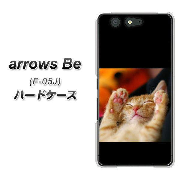docomo アローズ ビー F-05J 高画質仕上げ 背面印刷 ハードケース【VA804 爆睡するネコ】