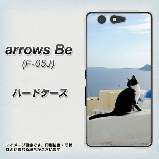 docomo アローズ ビー F-05J 高画質仕上げ 背面印刷 ハードケース【VA805 ネコと地中海】