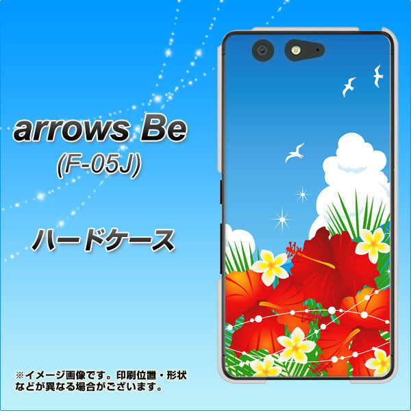 docomo アローズ ビー F-05J 高画質仕上げ 背面印刷 ハードケース【VA821 ハイビスカスと青空】