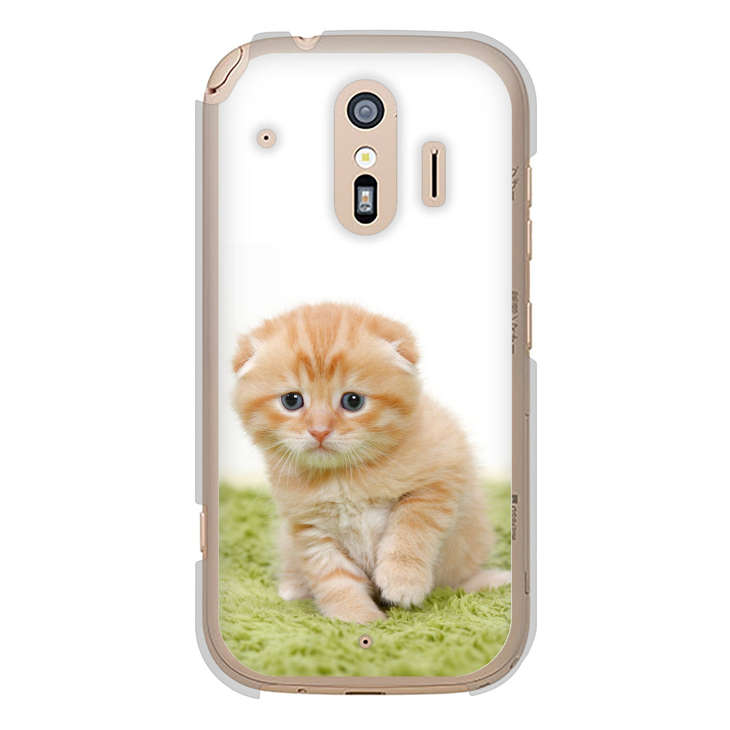 らくらくスマートフォン F-42A docomo 高画質仕上げ 背面印刷 ハードケース 【VA802 ネコこっそり】