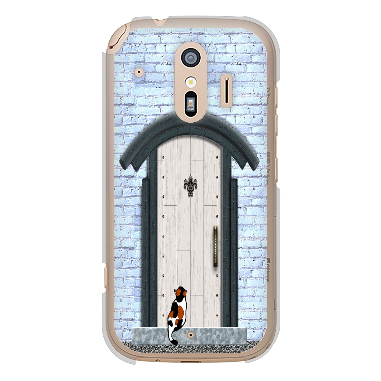 らくらくスマートフォン F-42A docomo 高画質仕上げ 背面印刷 ハードケース 猫とドア