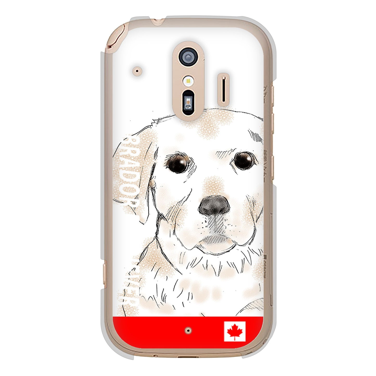 らくらくスマートフォン F-42A docomo 高画質仕上げ 背面印刷 ハードケース ラブラドールレトリバー