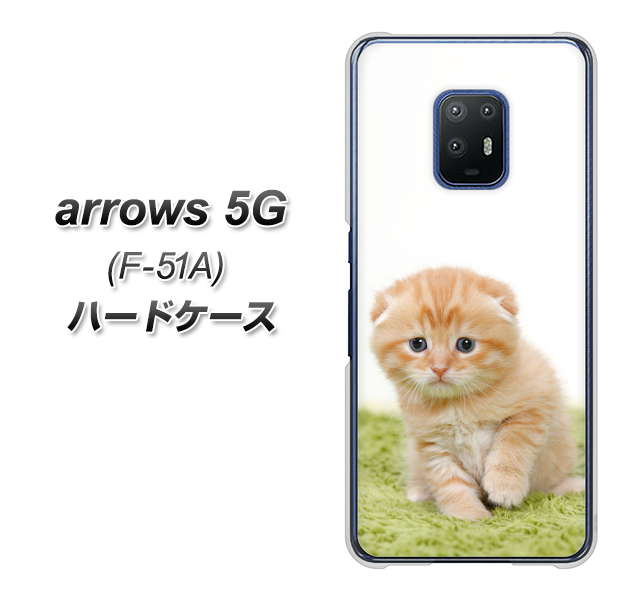 docomo アローズ5G F-51A 高画質仕上げ 背面印刷 ハードケース【VA802 ネコこっそり】