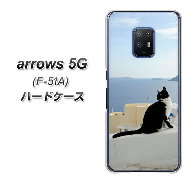 docomo アローズ5G F-51A 高画質仕上げ 背面印刷 ハードケース【VA805 ネコと地中海】