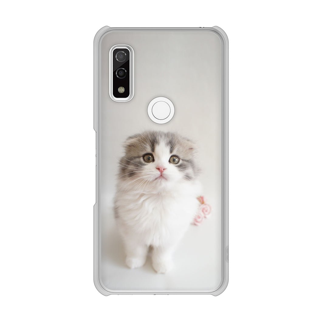 arrows We F-51B docomo 高画質仕上げ 背面印刷 ハードケース 【VA803 まっていますネコ】