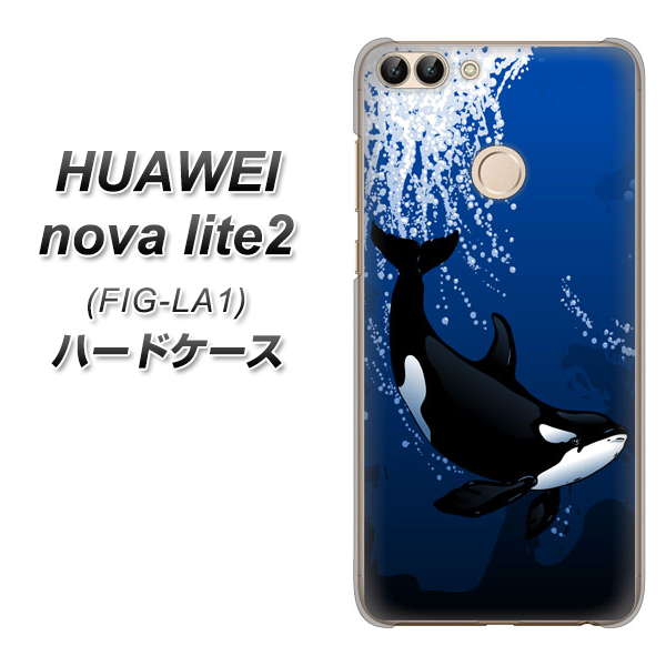 HUAWEI(ファーウェイ)nova lite 2 FIG-LA1 高画質仕上げ 背面印刷 ハードケース【423 シャチ】