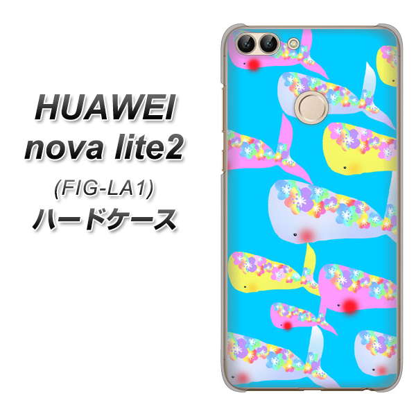 HUAWEI(ファーウェイ)nova lite 2 FIG-LA1 高画質仕上げ 背面印刷 ハードケース【1045 くじらの仲間】
