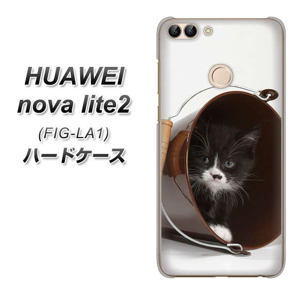 HUAWEI(ファーウェイ)nova lite 2 FIG-LA1 高画質仕上げ 背面印刷 ハードケース【VA800 ネコとバケツ】
