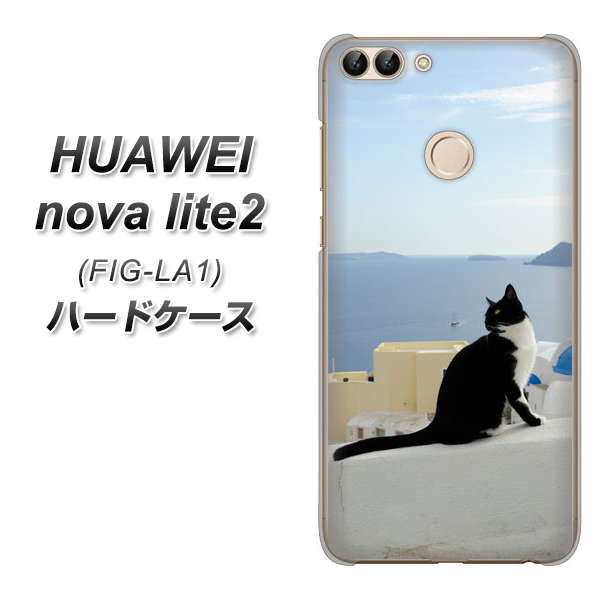 HUAWEI(ファーウェイ)nova lite 2 FIG-LA1 高画質仕上げ 背面印刷 ハードケース【VA805 ネコと地中海】