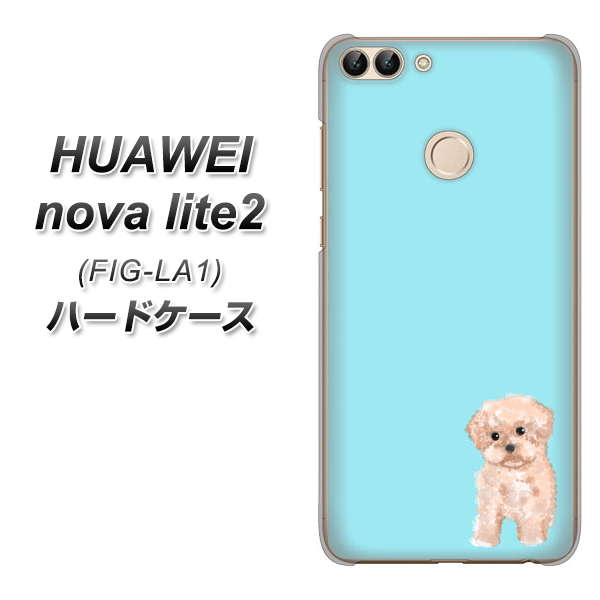 HUAWEI(ファーウェイ)nova lite 2 FIG-LA1 高画質仕上げ 背面印刷 ハードケース【YJ062 トイプードルアプリコット(ブルー)】