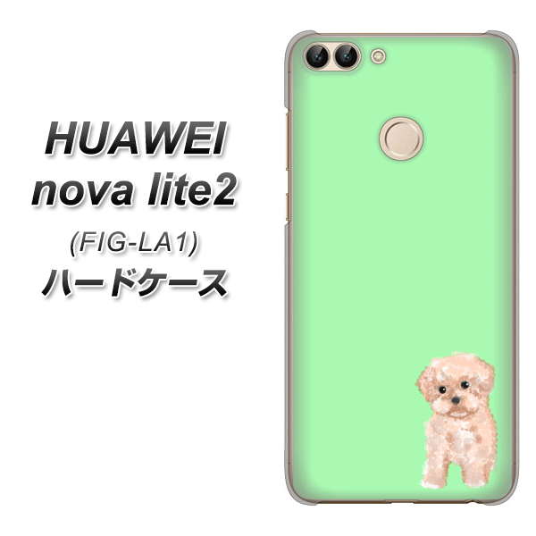 HUAWEI(ファーウェイ)nova lite 2 FIG-LA1 高画質仕上げ 背面印刷 ハードケース【YJ063 トイプードルアプリコット(グリーン)】