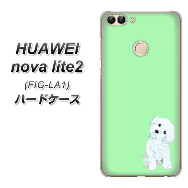 HUAWEI(ファーウェイ)nova lite 2 FIG-LA1 高画質仕上げ 背面印刷 ハードケース【YJ071 トイプードルホワイト(グリーン)】