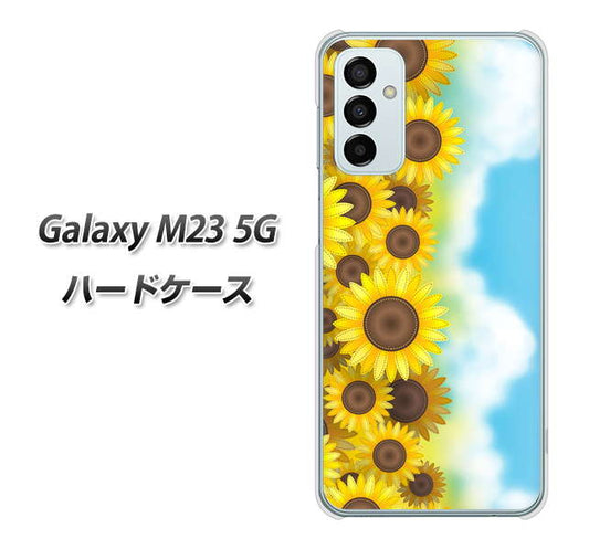 Galaxy M23 5G 高画質仕上げ 背面印刷 ハードケース【148 ひまわり畑】