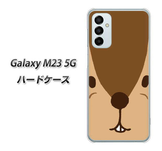 Galaxy M23 5G 高画質仕上げ 背面印刷 ハードケース【349 りす】