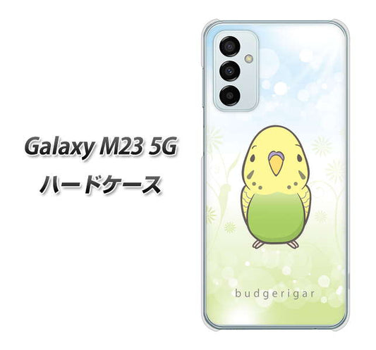 Galaxy M23 5G 高画質仕上げ 背面印刷 ハードケース【SC838 セキセイインコ グリーン】