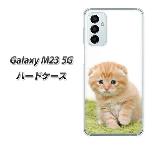 Galaxy M23 5G 高画質仕上げ 背面印刷 ハードケース【VA802 ネコこっそり】