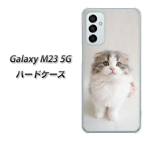 Galaxy M23 5G 高画質仕上げ 背面印刷 ハードケース【VA803 まっていますネコ】
