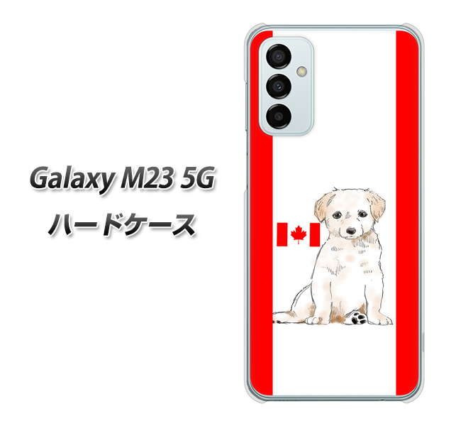 Galaxy M23 5G 高画質仕上げ 背面印刷 ハードケース【YD824 ラブラドールレトリバー05】