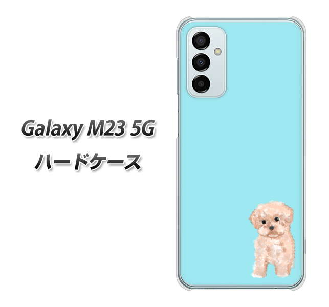 Galaxy M23 5G 高画質仕上げ 背面印刷 ハードケース【YJ062 トイプードルアプリコット(ブルー)】
