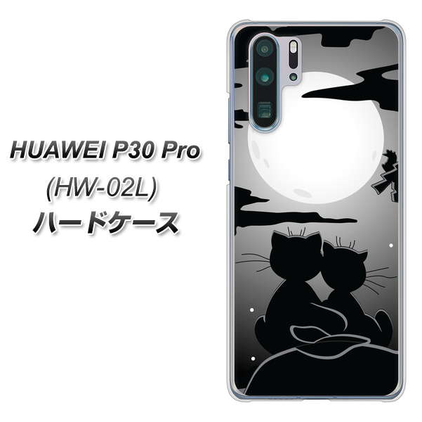docomo HUAWEI(ファーウェイ) P30 Pro HW-02L 高画質仕上げ 背面印刷 ハードケース【342 月夜の二人】
