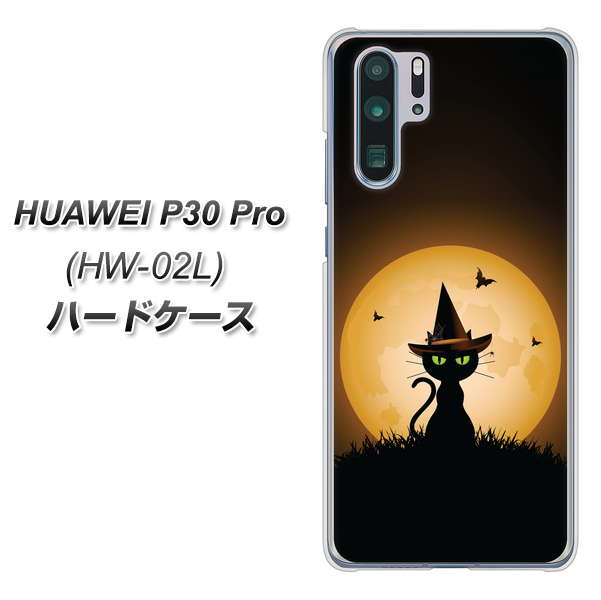 docomo HUAWEI(ファーウェイ) P30 Pro HW-02L 高画質仕上げ 背面印刷 ハードケース【440 猫の魔法使い】