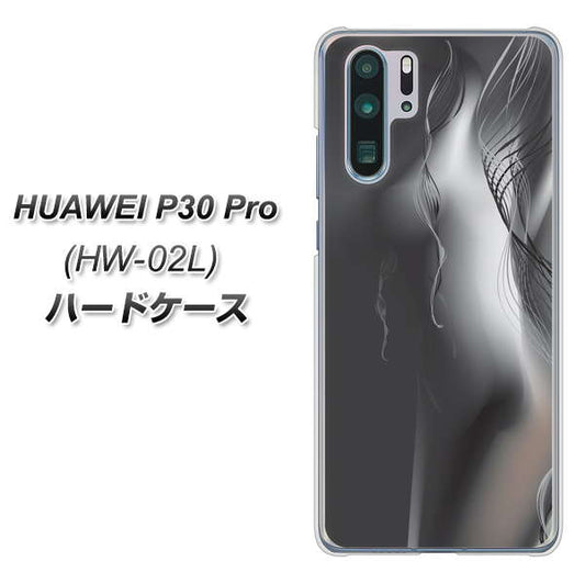 docomo HUAWEI(ファーウェイ) P30 Pro HW-02L 高画質仕上げ 背面印刷 ハードケース【566 ボディウォール】