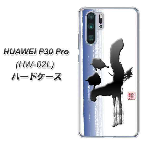 docomo HUAWEI(ファーウェイ) P30 Pro HW-02L 高画質仕上げ 背面印刷 ハードケース【OE829 斗】