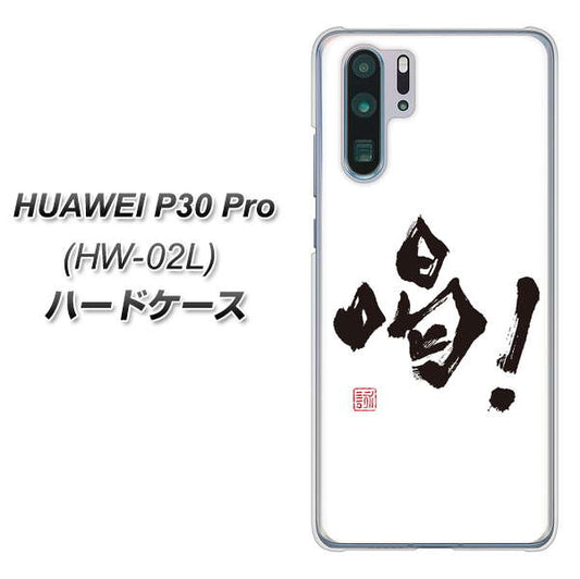 docomo HUAWEI(ファーウェイ) P30 Pro HW-02L 高画質仕上げ 背面印刷 ハードケース【OE845 喝!】