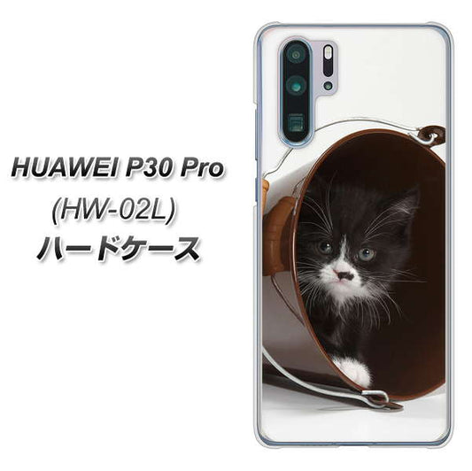 docomo HUAWEI(ファーウェイ) P30 Pro HW-02L 高画質仕上げ 背面印刷 ハードケース【VA800 ネコとバケツ】