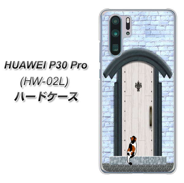 docomo HUAWEI(ファーウェイ) P30 Pro HW-02L 高画質仕上げ 背面印刷 ハードケース【YA951 石ドア01】