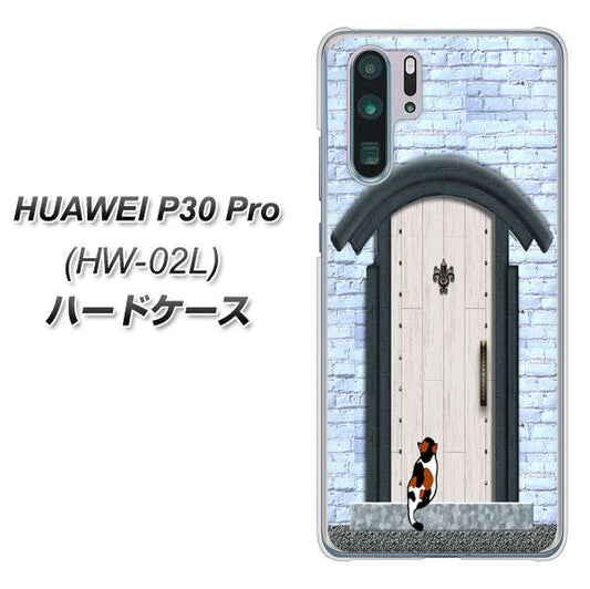 docomo HUAWEI(ファーウェイ) P30 Pro HW-02L 高画質仕上げ 背面印刷 ハードケース【YA951 石ドア01】