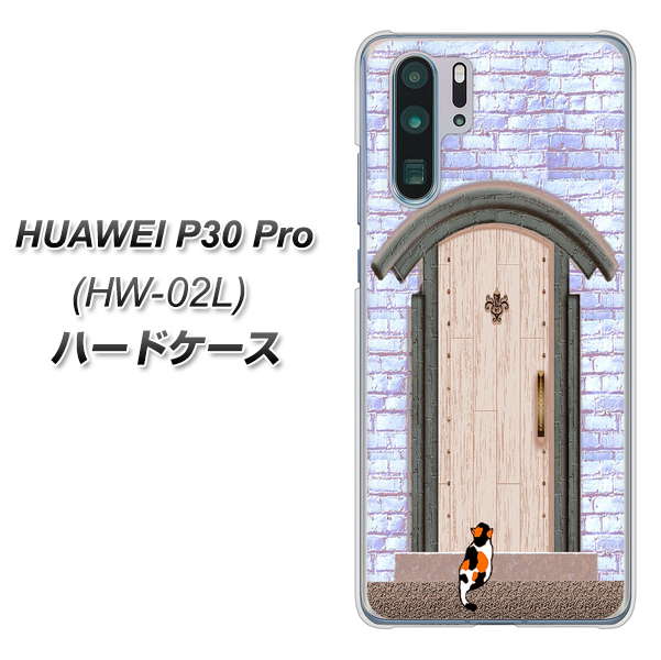 docomo HUAWEI(ファーウェイ) P30 Pro HW-02L 高画質仕上げ 背面印刷 ハードケース【YA952 石ドア02 素材クリア】