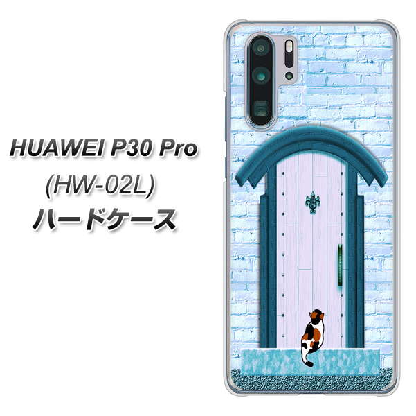docomo HUAWEI(ファーウェイ) P30 Pro HW-02L 高画質仕上げ 背面印刷 ハードケース【YA953 石ドア03 素材クリア】