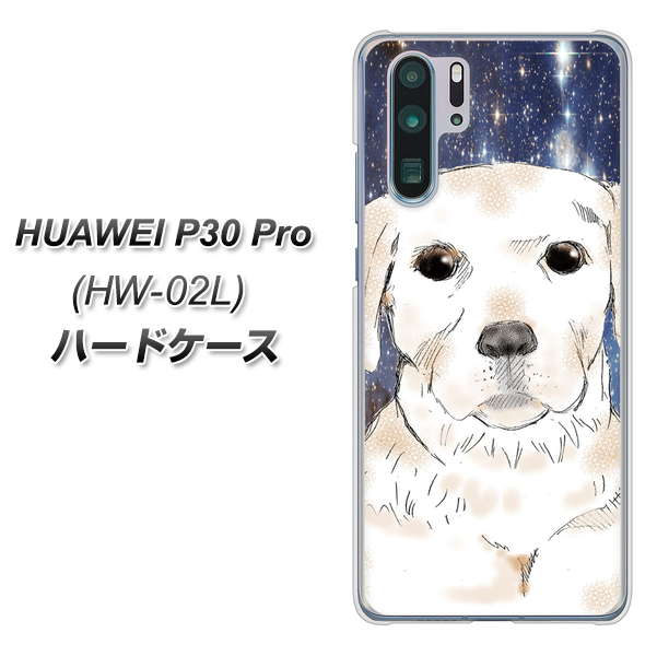 docomo HUAWEI(ファーウェイ) P30 Pro HW-02L 高画質仕上げ 背面印刷 ハードケース【YD820 ラブラドールレトリバー01】