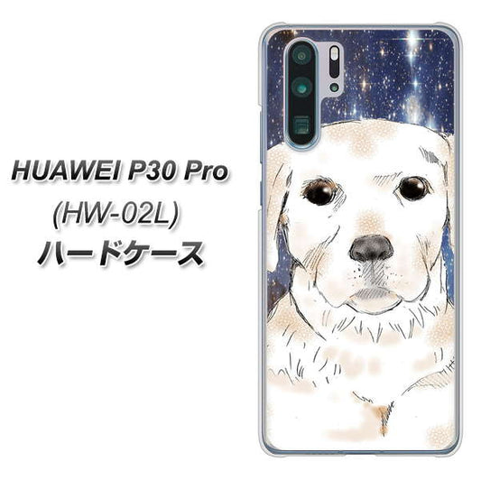 docomo HUAWEI(ファーウェイ) P30 Pro HW-02L 高画質仕上げ 背面印刷 ハードケース【YD820 ラブラドールレトリバー01】