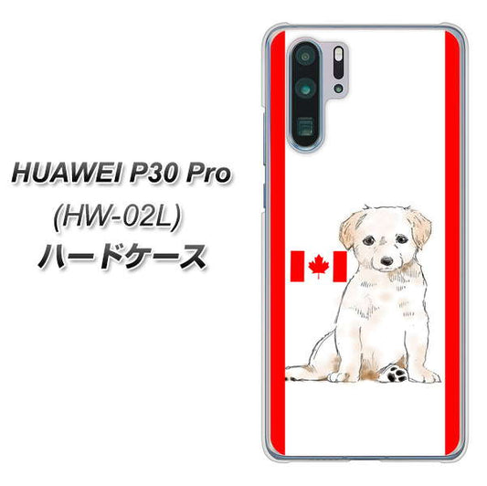 docomo HUAWEI(ファーウェイ) P30 Pro HW-02L 高画質仕上げ 背面印刷 ハードケース【YD824 ラブラドールレトリバー05】