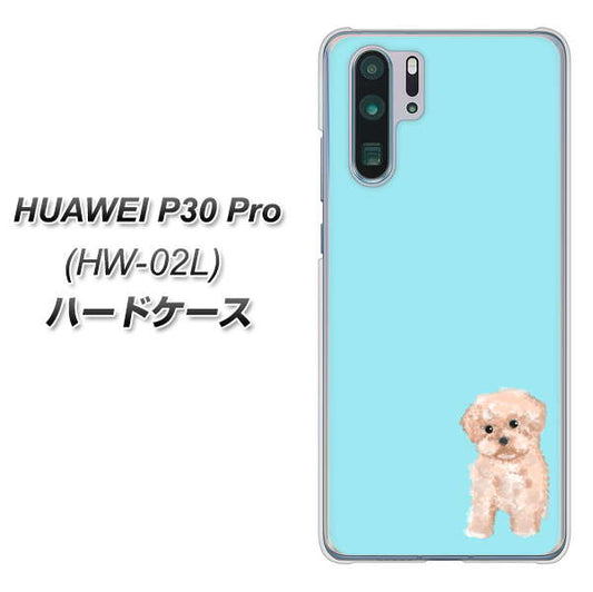 docomo HUAWEI(ファーウェイ) P30 Pro HW-02L 高画質仕上げ 背面印刷 ハードケース【YJ062 トイプードルアプリコット(ブルー)】