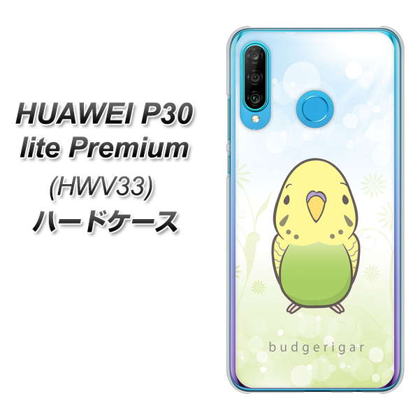 au HUAWEI(ファーウェイ) P30 lite Premium HWV33 高画質仕上げ 背面印刷 ハードケース【SC838 セキセイインコ グリーン】