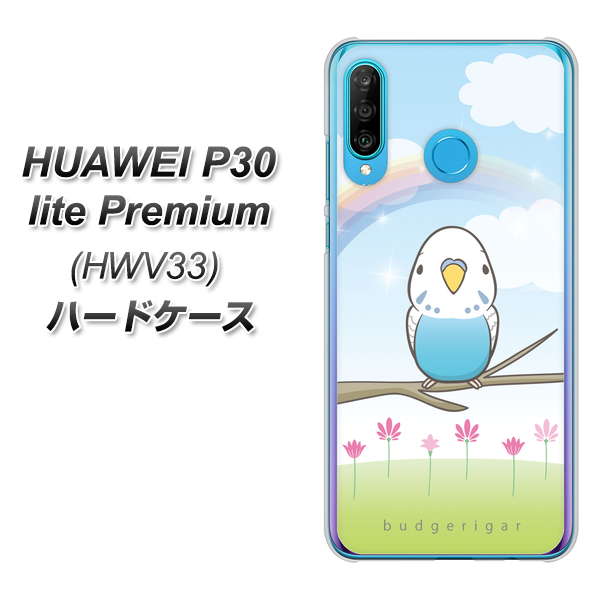 au HUAWEI(ファーウェイ) P30 lite Premium HWV33 高画質仕上げ 背面印刷 ハードケース【SC839 セキセイインコ ブルー】