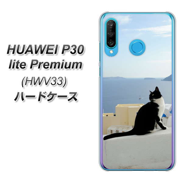 au HUAWEI(ファーウェイ) P30 lite Premium HWV33 高画質仕上げ 背面印刷 ハードケース【VA805 ネコと地中海】
