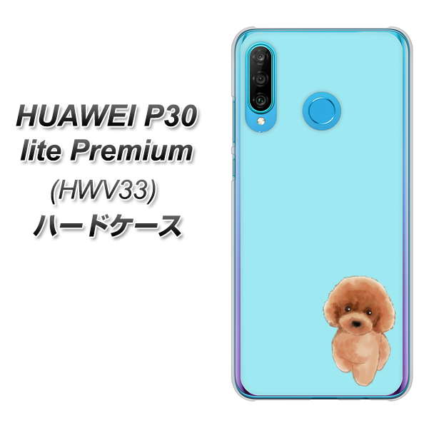 au HUAWEI(ファーウェイ) P30 lite Premium HWV33 高画質仕上げ 背面印刷 ハードケース【YJ050 トイプードルレッド(ブルー)】