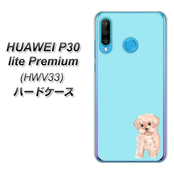 au HUAWEI(ファーウェイ) P30 lite Premium HWV33 高画質仕上げ 背面印刷 ハードケース【YJ062 トイプードルアプリコット(ブルー)】