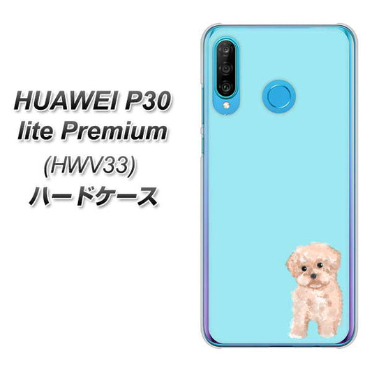 au HUAWEI(ファーウェイ) P30 lite Premium HWV33 高画質仕上げ 背面印刷 ハードケース【YJ062 トイプードルアプリコット(ブルー)】