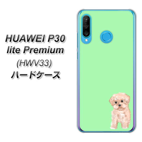 au HUAWEI(ファーウェイ) P30 lite Premium HWV33 高画質仕上げ 背面印刷 ハードケース【YJ063 トイプードルアプリコット(グリーン)】